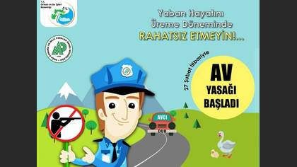 Tanımsız
