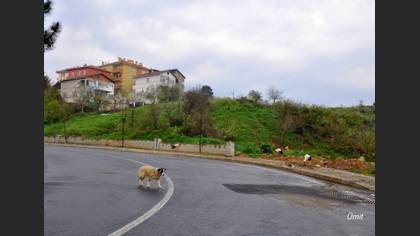 Tanımsız