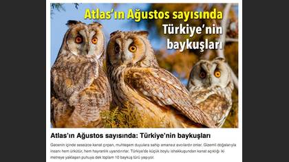 Tanımsız