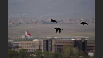 Tanımsız