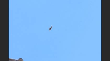 Tanımsız