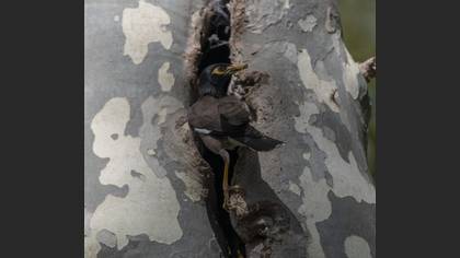Tanımsız