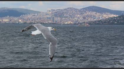 Tanımsız