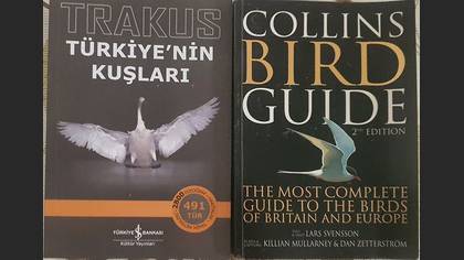 Tanımsız