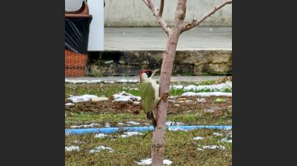 Tanımsız