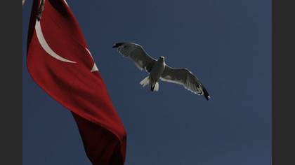 Tanımsız
