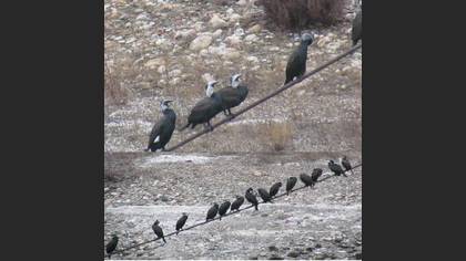 Tanımsız