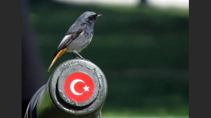 Tanımsız