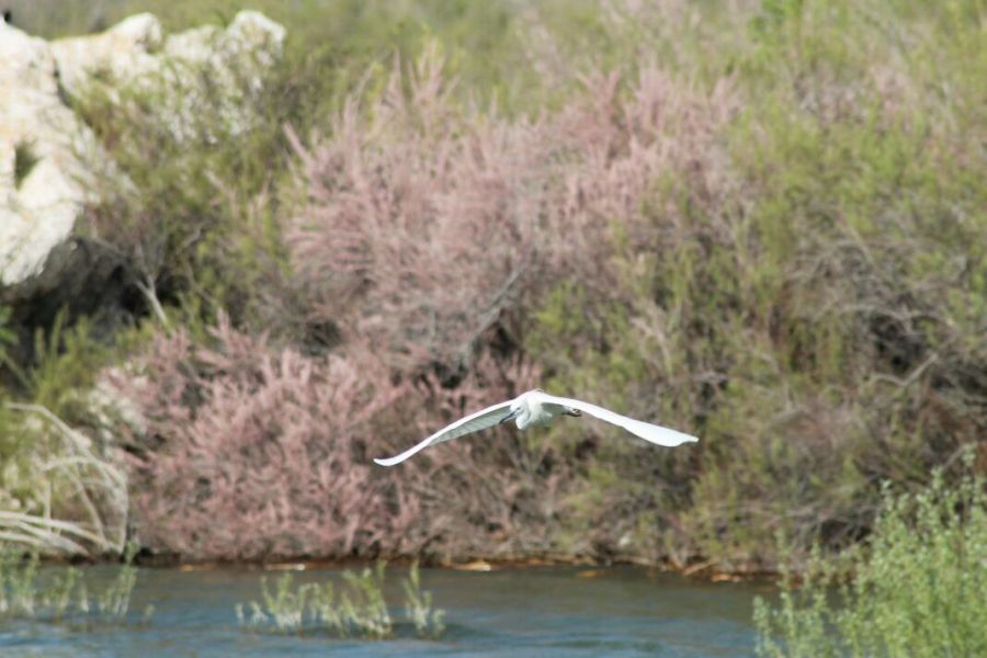 Tanımsız
