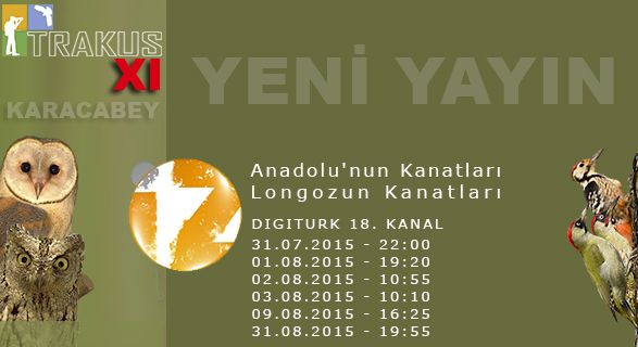 Tanımsız
