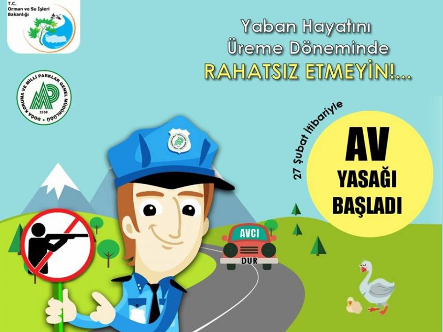 Tanımsız