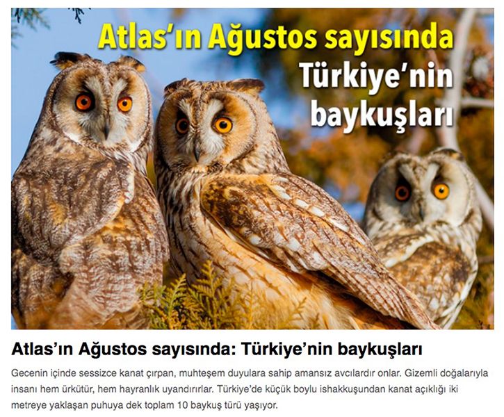Tanımsız