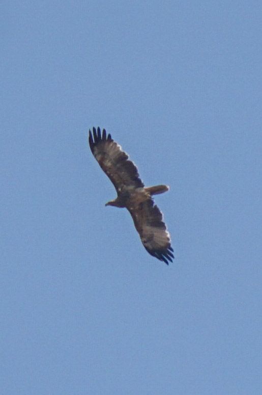 Tanımsız