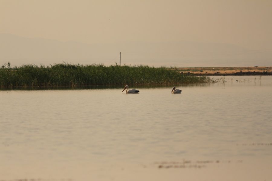 Tanımsız