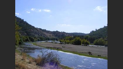 Gözlem