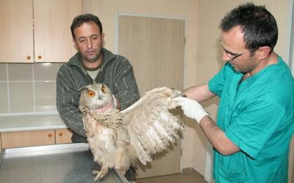Örnek haber adı gelecek.