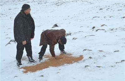 Muş'ta Yabani Kuşlar İçin Doğaya Yem Bırakıldı