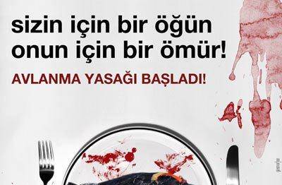 Avlanma Yasağı Başladı!!
