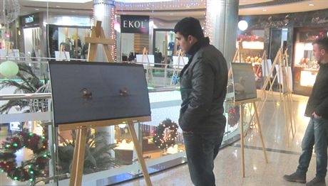 Sergiyle Sulak Alanları Tanıtıldı