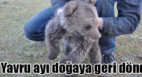 Örnek haber adı gelecek.