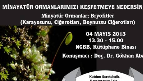 MİNYATÜR ORMANLARIMIZI KEŞFETMEYE HAZIRMISINIZ? 
