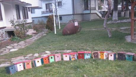 Kuş yuvalarını boyadılar
