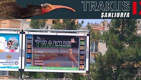 TRAKUS IX ŞANLIURFA KAMPI 2. GÜN