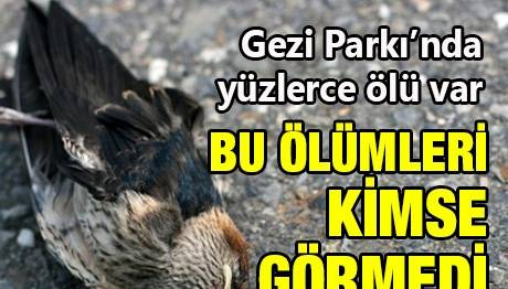 Bu Ölümleri Kimse Görmedi