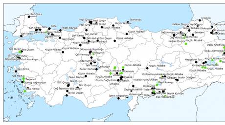 DENEYSEL - E-bird ve Kuşbank