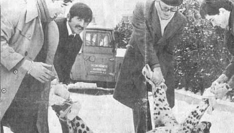 Türkiye'de ilk kez pars doğal ortamda görüntülendi mi ?
