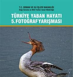 BÜYÜK YARIŞ BAŞLIYOR !