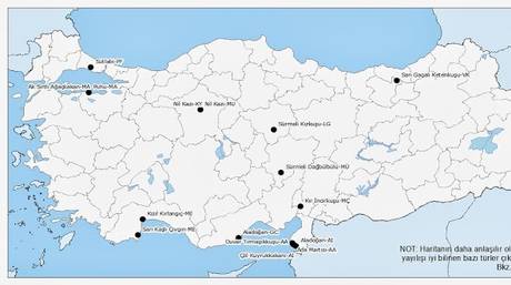 Kasım 2013-Kusbank Blog