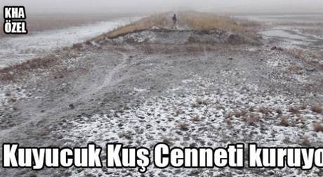 Kuyucuk Kuş Cenneti Kuruyor