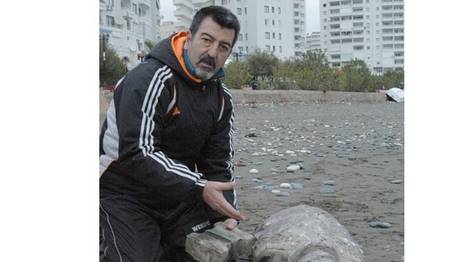 Örnek haber adı gelecek.