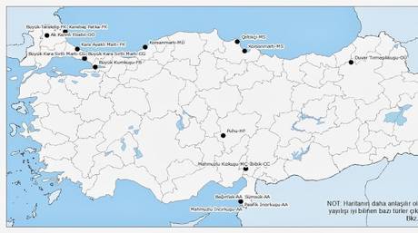 Aralık 2013 Kuşbank Blog