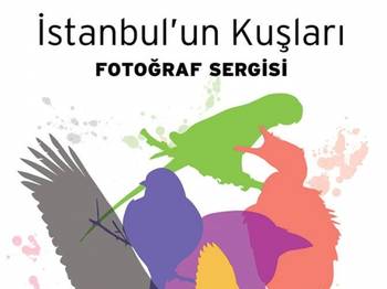 İstanbul'un Kuşları-Sergi