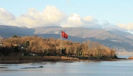 Sapanca Gölü'nü Bu Kuş Kurtaracak