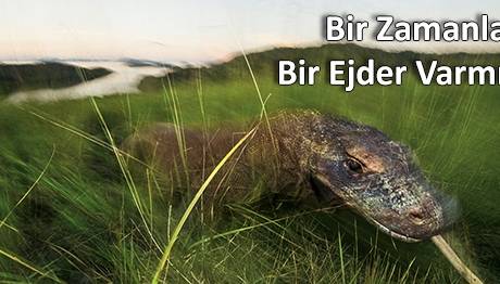 BİR ZAMANLAR BİR EJDER VARMIŞ