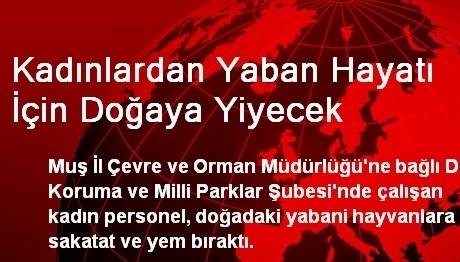 Kadınlardan Yaban Hayatı İçin Doğaya Yiyecek