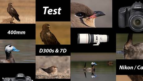 Nikon 300mm f/4 & Canon 400mm f/5.6 Test 