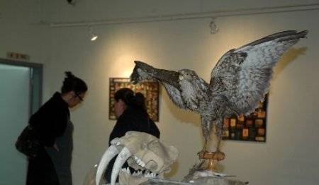 TABİAT TARİHİ MÜZESİ (İzmir) EGE ÜNİVERSİTESİ TABİAT TARİHİ UYGULAMA VE ARAŞTIRMA MERKEZİ
