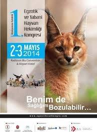 Egzotik ve yabani hayvan sağlığı konusunda bilim adamları 2 Mayıs'ta İstanbulda