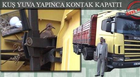 Kuş Yuva Yapınca Kontak Kapattı