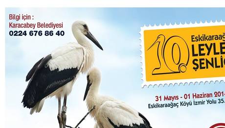 10.Leylek Şenliği!!