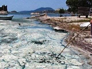 Bafa Gölü yeşil bir pelte halini aldı