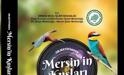 Objektifimden Mersin'in Kuşları