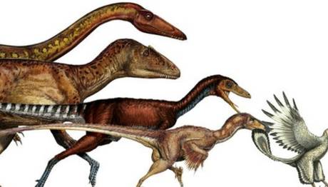 '163 kiloluk dinozor, 800 gramlık kuşa dönüştü'