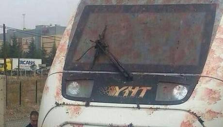 TCDD'den vahim `kuş`açıklaması