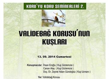 Validebağ Korusu'nun Kuşları