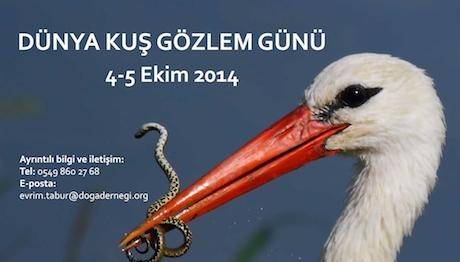 Dünya Kuş Gözlem Günü